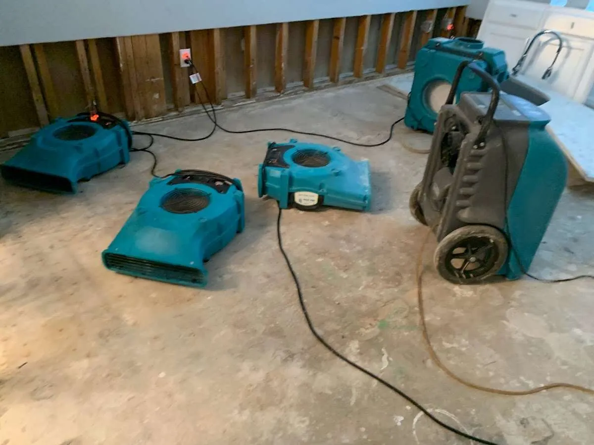 Water Damage Restoration services in Sitka, AK